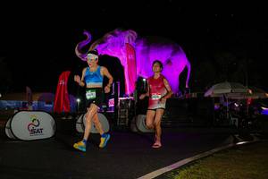 BIB: 
                            <button type="button" onclick="openModal(26543508)" class="btn btn-primary btn-sm float-right btn-popup" data-toggle="modal" data-target=".modal-high-quality">
                        <i class="fas fa-shopping-cart"></i> Add to Cart
                    </button>
                                            <button type="button" onclick="isThisMe(26543508, true)" class="btn btn-success btn-sm float-right btn-popup btn-isme hidden" data-toggle="tooltip" data-placement="bottom" title="นี่คือรูปของคุณใช่ไหม คลิกที่นี่เพื่อเอาเข้าอัลบั้ม">
                        <i class="fas fa-plus"></i> Add to album
                    </button>
                    <button type="button" onclick="isThisMe(26543508, false)" class="btn btn-warning btn-sm float-right btn-popup btn-isnotme hidden">
                        <i class="fas fa-ban"></i> Remove from album
                    </button>